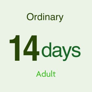 JAPAN RAIL PASS 14DAYS(ORDINARY) Adult